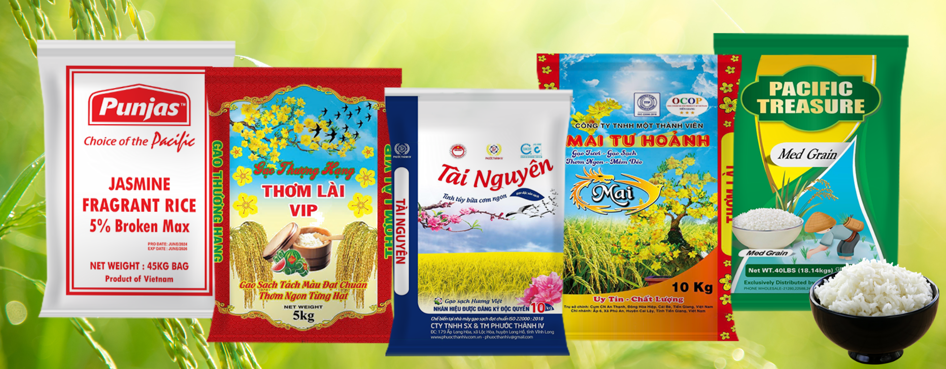 cong-ty-tnhh-bao-bi-gia-phat-long-an