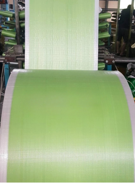 Cuộn PP Dệt Màu Xanh Lá Biên Trong